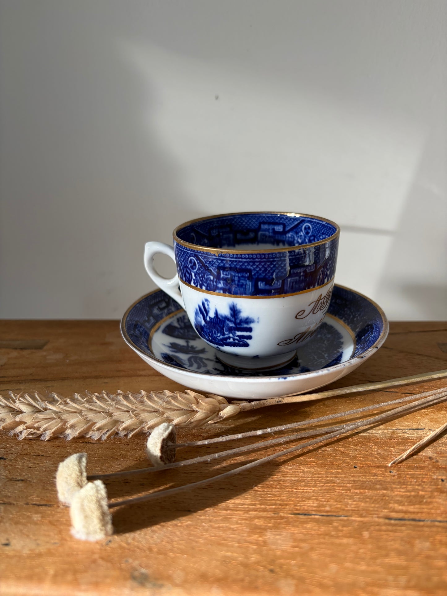 HEN CWPAN A SOSER ABERYSTWYTH / Vintage cup and saucer A PRESENT FROM ABERYSTWYTH