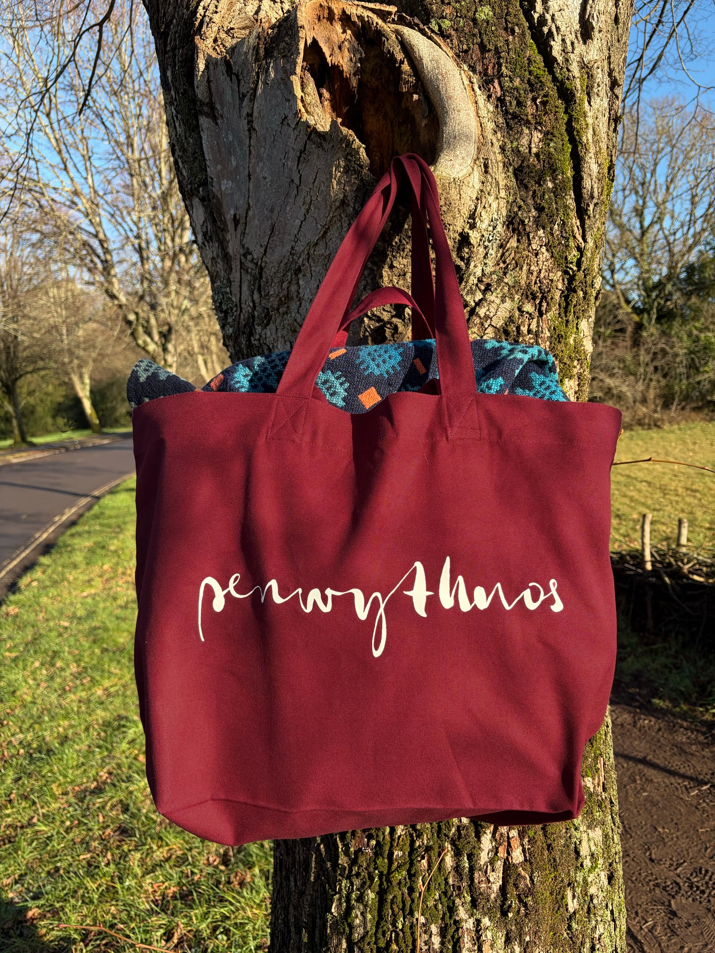 ELFYN PENWYTHNOS bag